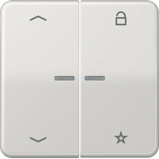 Jung CD range tastafdekking pijlen cd500 licht grijs 2-voudig Glanzend grijs RAL 7035 FMCD1701PLG