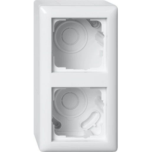 Gira Standaard 55 Opbouwbehuizing + afdekraam 2-voudig wit Horizontaal en verticaal 106203