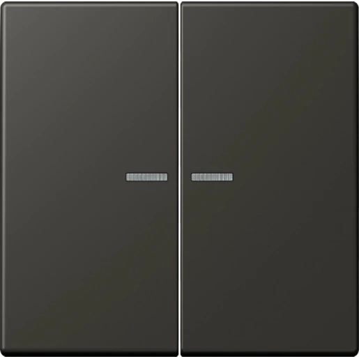 Jung LS range Home stuurafdekking LC4320R 2-voudig Mat BTLC17102259