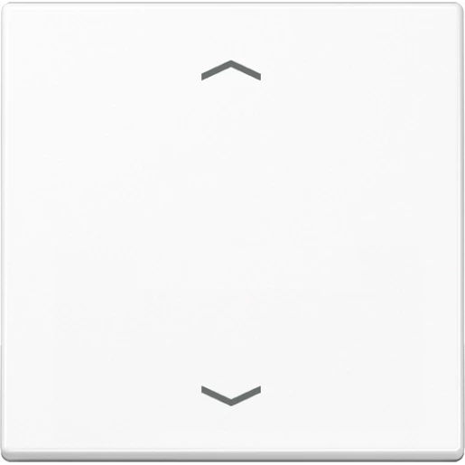 Jung A range Afdekking A(S)500 standaard voor 1730JE enkelvoudig Glanzend wit RAL 9016 A1700PWW
