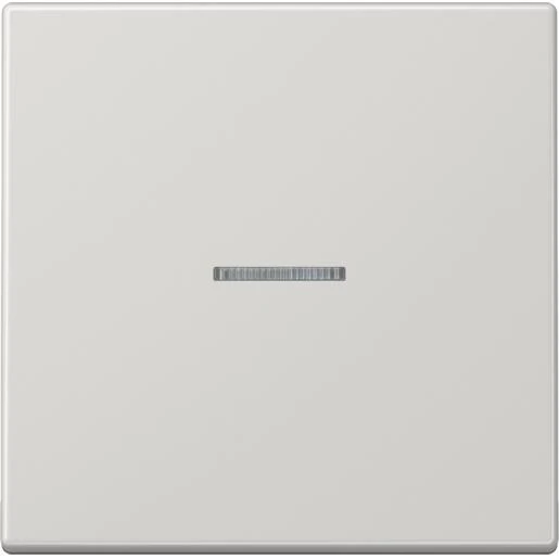 Jung LS range tastafdekking standaard licht grijs enkelvoudig Glanzend grijs RAL 7035 FMLS1700LG