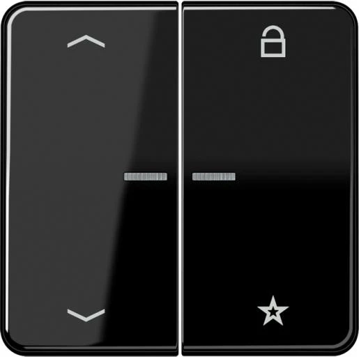 Jung CD range tastafdekking pijlen cd500 2-voudig Glanzend zwart RAL 9005 FMCD1701PSW