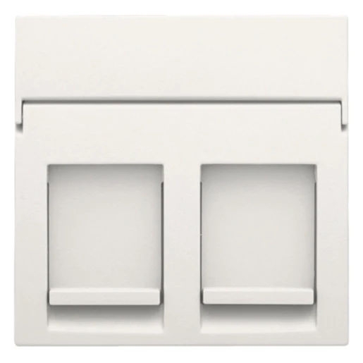 Niko Original / Intense Centraalplaat data RJ Modular-Jack Centraalplaat 2 connectoren Zonder label wit 101-65200