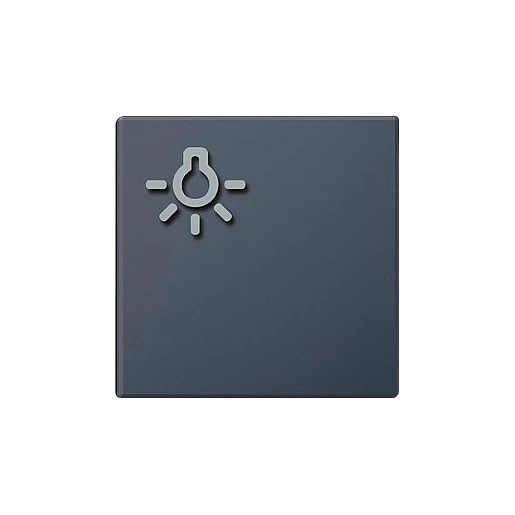 Siedle TLM 611/612-01 BTLM 650 AG lichttoets + lichtsymbool grijs 210007065-00