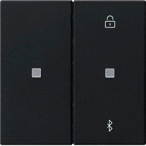 Gira System 55 s3000 jaloezie- en schakelklok bluetooth enkelvoudig Mat zwart 5381005