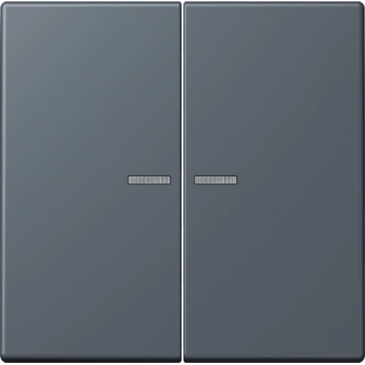 Jung LS range Home stuurafdekking LC4320U 2-voudig Mat BTLC17102262