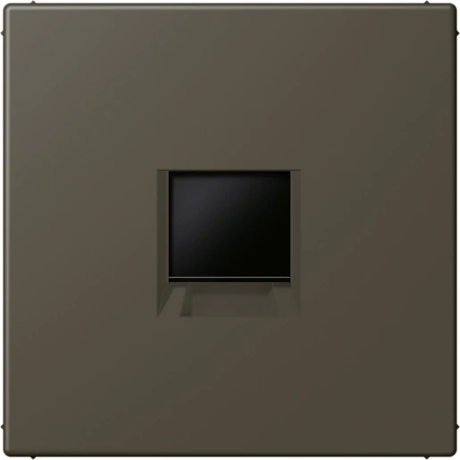 Jung LS range Afdekking centraalplaat AMP Radiall LC32140 Modular-Jack 1 connector Zonder label LC1969-1WE241