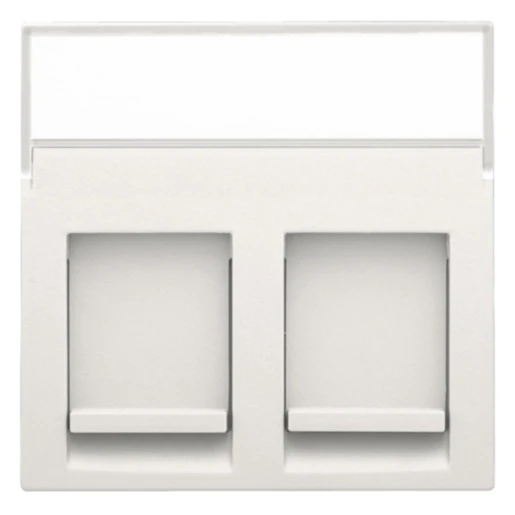 Niko Original / Intense centraalplaat data rj Modular-Jack Centraalplaat 2 connectoren Zonder label wit 101-65600