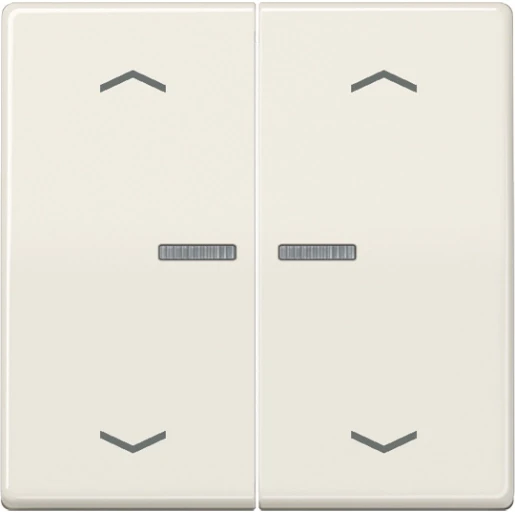 Jung AS range Home stuurafdekking pijl 2-voudig Glanzend wit RAL 1013 BTAS17102P