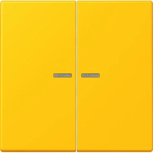 Jung LS range Home stuurafdekking LC4320W 2-voudig Mat BTLC17102263