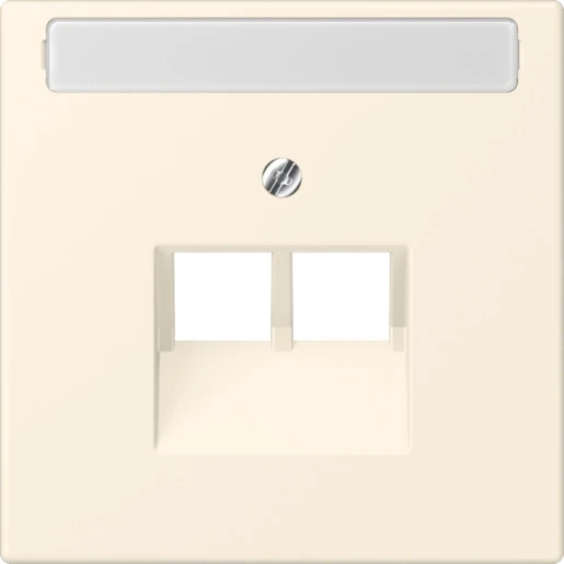 Jung LS range Afdekking centraalplaat 4320B UAE/IAE 2 connectoren Met label LC969-2NAUA245