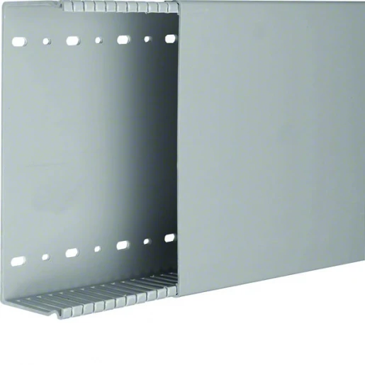Hager Tehalit BA6 Bedradingskanaal 65x209x2000mm PVC grijs RAL 7030 BA66020007030B