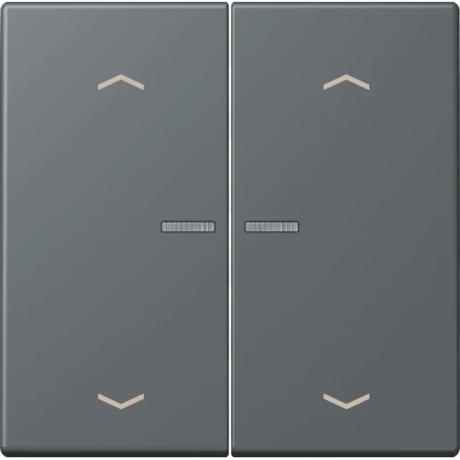 Jung LS range Home stuurafdekking pijl LC32010 2-voudig Mat BTLC17102P202