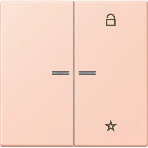 Jung LS range stuurafdekking universeel lc32112 2-voudig Mat FMLC1701234