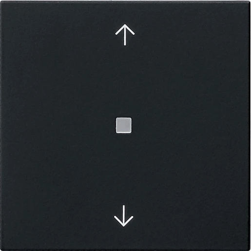 Gira System 55 s3000 bedieningselement bluetooth pijlen enkelvoudig Mat zwart 5382005