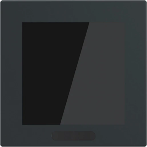 ABB Busch-Jaeger 2,4'Display 63'