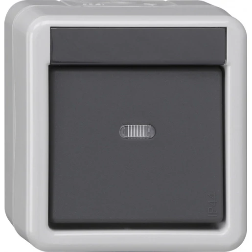 Gira KNX drukc.-BA 1-v ctrl.v. + 1-punts SW opbouw grijs